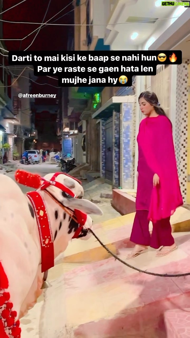 Afreen Burney - 104.5K Likes - Girls on Eid☠️😭🤣 
#afreenburney #reels #bakraeid #qurbani #eidmubarak #eid #instagram #instagood #instadaily #instalike #love #fun #meme #