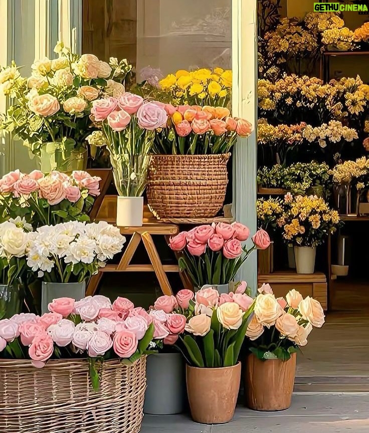 Aisha Zafar Khan - 12.7K Likes - Wandering through the pastel perfect streets of Notting Hill, London 💕🚗🌸
From the iconic candy colored townhouses to the dreamiest little flower shop, this neighborhood feels like stepping into a storybook. Every corner is pure magic.

#NottingHill #LondonStreets #PastelParadise #FlowerShopVibes #DreamyPlaces