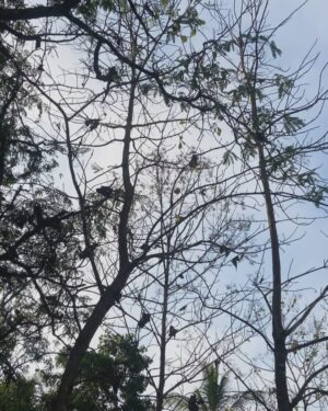 Aishani Shetty Instagram - April 🌦️