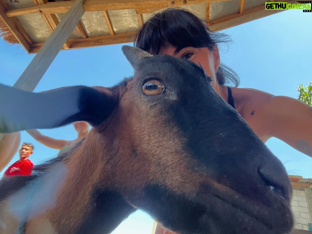 Aitana - 443.6K Likes - este veranito :’)