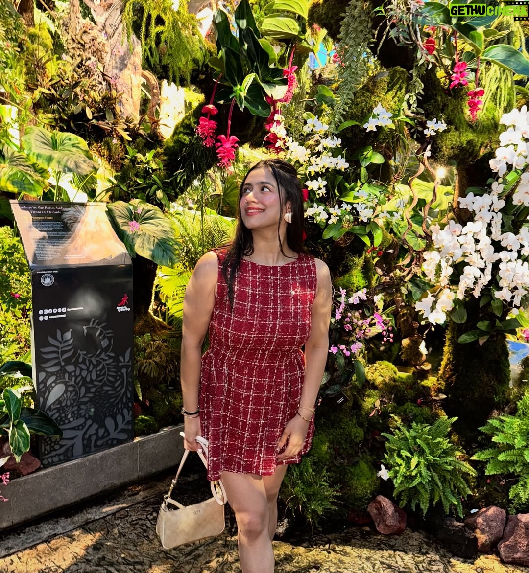 Akanksha Vij - 703 Likes - Felt like a real life princess in this look!!♥️♥️✨✨
.
.
.
.
.
#explore #fashion #fashionstyle #outfit #travel #outfitinspo #outfitinspiration #Viral #trendingpost #fyp #photography #singapore #ootd #princesslook#stylehack #makeup 
(Luxury, Fashion, Lifestyle, Creator, Travel diaries, Bow, Outfit ideas, for you page, trending audios, trending reels)