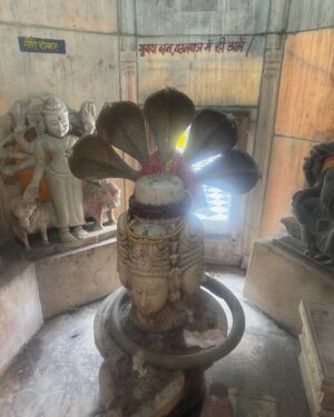 Akshara Gowda Instagram - Walked through temples, dargahs, and gurudwaras—realized the universe doesn’t see religion, it only sees hearts. Faith has no boundaries; love is our only true reflection. Somewhere in this endless journey, the universe is protecting me in mysterious ways I never imagined. ✨✨✨

#OneWorld #SpiritualJourney #UniverseProtects” ❤️🥰

 #aksharagowda #stylishtamilachi #aksharagowdabikki #stylishtamizhachi #sunday #chennai 
#mumbai #hyderabad #mother #motherhood #motherenergy #pushkarbrahmatemple #pushkar #ajmer #ajmersharifdargah #khatushyam #salasarbalaji #satyanarayan #balhanuman #nizamuddinauliyadargah #nizamuddin #delhi #jaipur #shiv #coldplay #fixyou #gurudwara