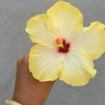 Akshita