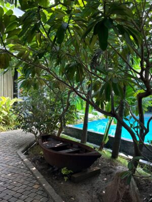 Akshita Rai Shrivastava Instagram - Bali but in Bhopal 🌻