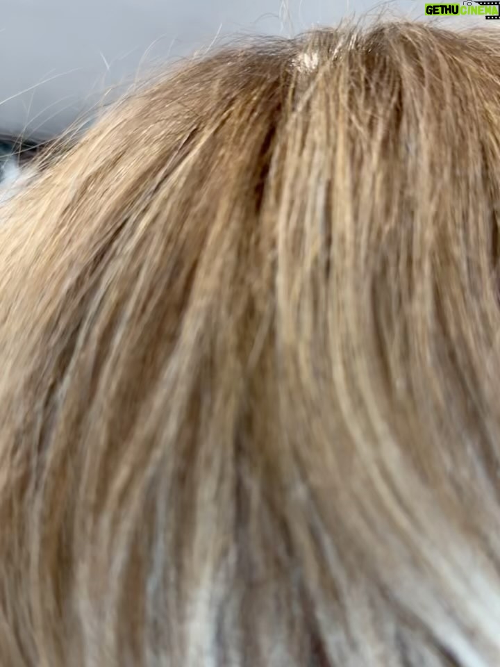 Alana Thompson - 56.4K Likes - If you’re in Denver and looking for someone who truly gets hair, look no further than @thefunkyladyy she is hands down the BEST. This was my second time in her chair, and just like the first, I walked away feeling not only beautiful but genuinely cared for. From the moment you walk into @studiorae.salon you feel welcomed and at ease. The salon is absolutely stunning clean, cozy, and full of good energy.

What really sets her apart is how much pride and intention she pours into her work. You can tell she’s passionate about what she does, and it shows in every single detail from the way she consults with you, to how she styles and treats your hair with so much love. I’ve never once felt uncomfortable or out of place, and that says so much.

There’s something so special about being in a space where you can relax, be yourself, and leave feeling like your best self and that’s exactly what she gives every time. Can’t wait for my next appointment already. Thank you, @thefunkyladyy for sharing your gift with us. 💕✨ #DenverHairStylist #StudioRaeSalon #GratefulClient #HairMagic