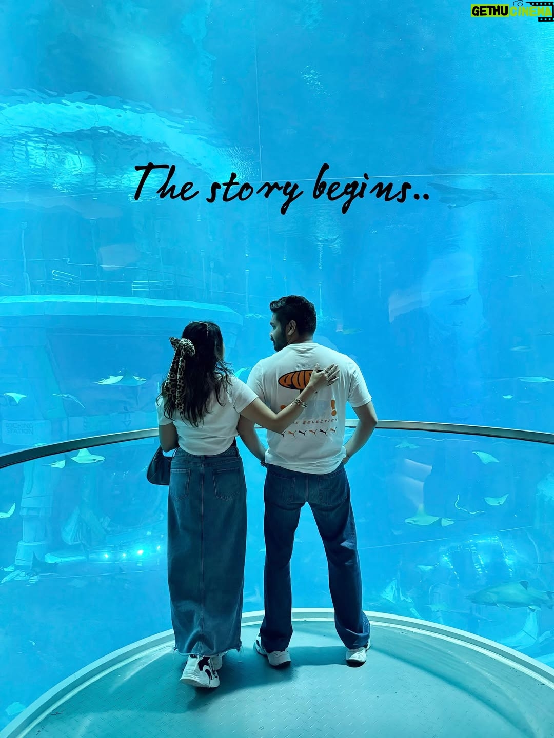 Aleenajijin - 3 Likes - Some story begins here….✨
📍 @seaworldyasisland