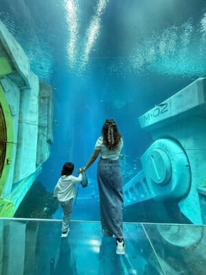 Aleenajijin Instagram - Some story begins here….✨
📍 @seaworldyasisland
