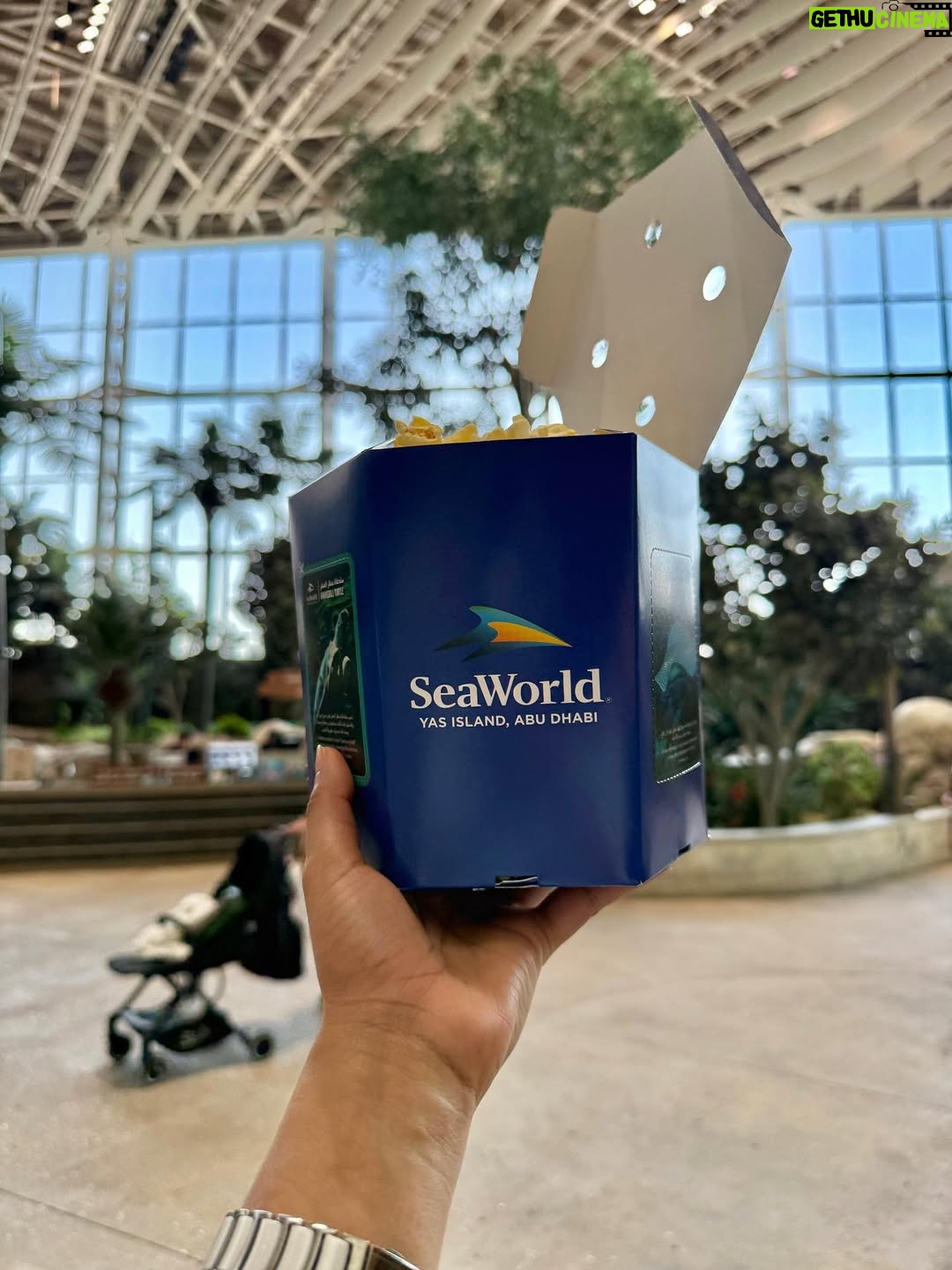 Aleenajijin - 3 Likes - 🌊The sea called, the forest 🌳answered and I followed into the dream ..💭 

📍 @seaworldyasisland 

#seaworldabudhabi❤️❤️❤️ #seaworld #familyadventures