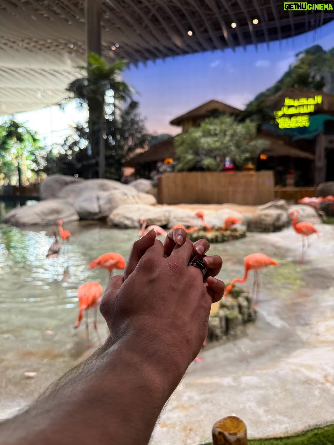 Aleenajijin - 3 Likes - 🌊The sea called, the forest 🌳answered and I followed into the dream ..💭 

📍 @seaworldyasisland 

#seaworldabudhabi❤️❤️❤️ #seaworld #familyadventures