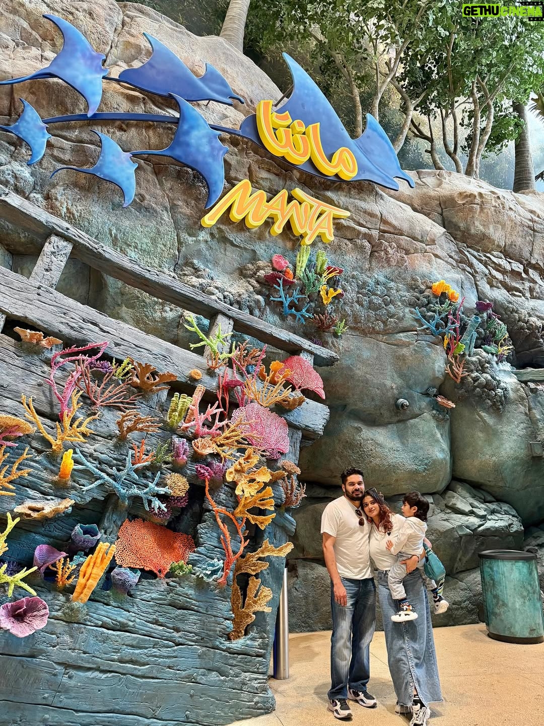 Aleenajijin - 3 Likes - 🌊The sea called, the forest 🌳answered and I followed into the dream ..💭 

📍 @seaworldyasisland 

#seaworldabudhabi❤️❤️❤️ #seaworld #familyadventures