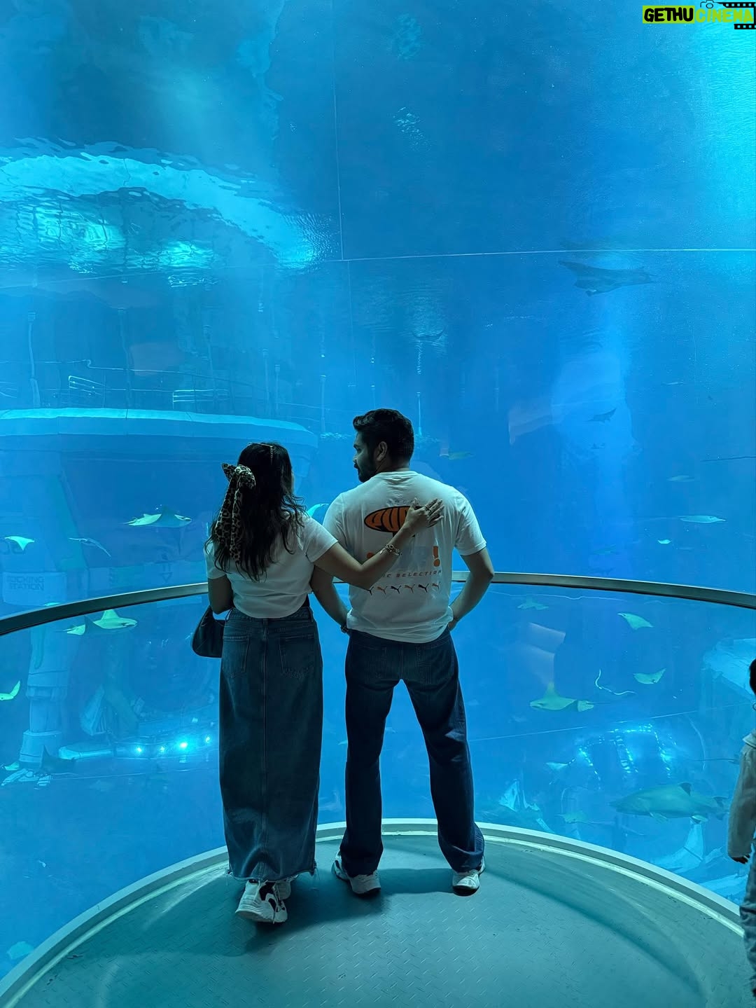 Aleenajijin - 2.4K Likes - Sometimes it’s all about living your life ✨💕
@seaworldyasisland 

📍 seaworld AbuDhabi , Yas Island
Timing - 10Am 6 Pm
Ticket -375 Dhs ( adult)
Child below 3 years - Free

#seaworld #seaworldabudhabi❤️❤️❤️ #yasisland #abudhabi