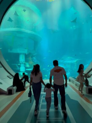 Aleenajijin Instagram - Sometimes it’s all about living your life ✨💕
@seaworldyasisland
📍 seaworld AbuDhabi , Yas Island
Timing - 10Am 6 Pm
Ticket -375 Dhs ( adult)
Child below 3 years - Free
#seaworld #seaworldabudhabi❤️❤️❤️ #yasisland #abudhabi