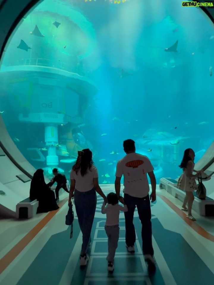 Aleenajijin - 2.4K Likes - Sometimes it’s all about living your life ✨💕
@seaworldyasisland 

📍 seaworld AbuDhabi , Yas Island
Timing - 10Am 6 Pm
Ticket -375 Dhs ( adult)
Child below 3 years - Free

#seaworld #seaworldabudhabi❤️❤️❤️ #yasisland #abudhabi