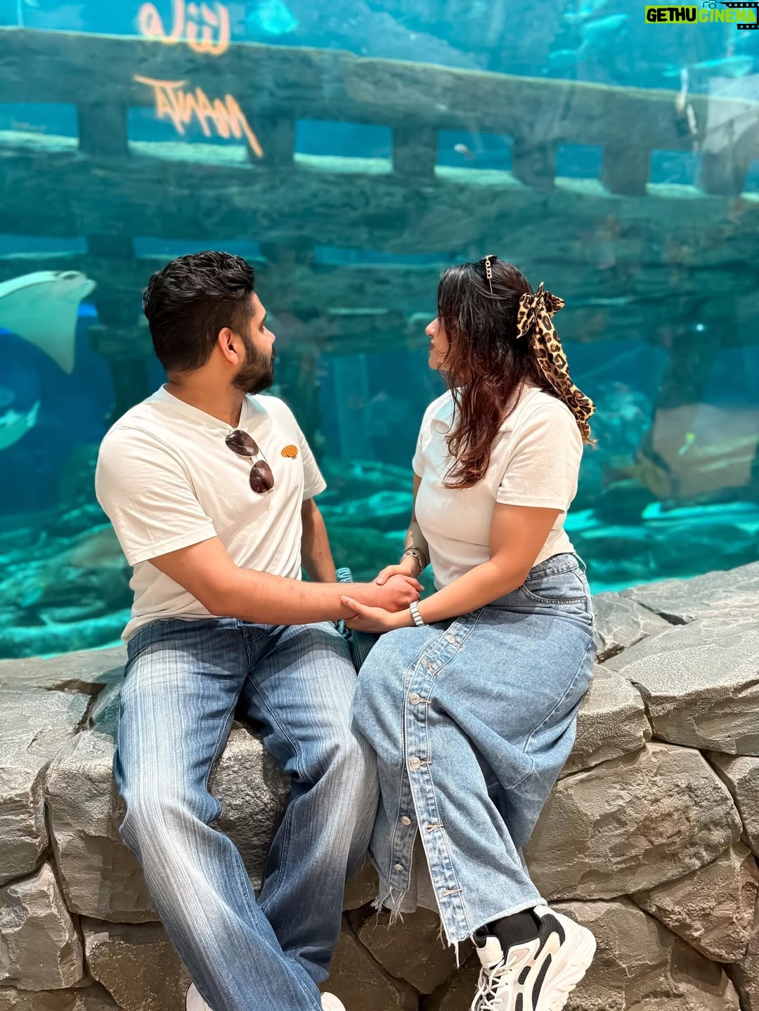 Aleenajijin - 2.4K Likes - Sometimes it’s all about living your life ✨💕
@seaworldyasisland 

📍 seaworld AbuDhabi , Yas Island
Timing - 10Am 6 Pm
Ticket -375 Dhs ( adult)
Child below 3 years - Free

#seaworld #seaworldabudhabi❤️❤️❤️ #yasisland #abudhabi