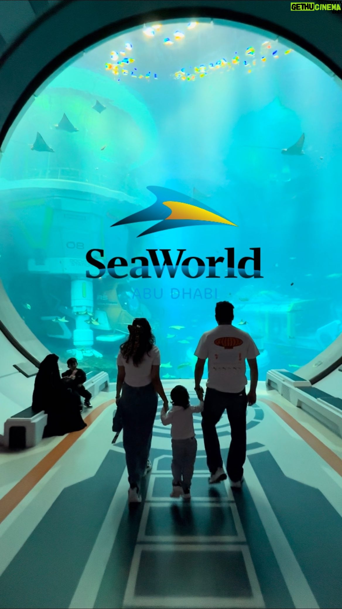 Aleenajijin - 2.2K Likes - Whales, wonders, and wide-eyed kids — SeaWorld Abu Dhabi delivered the magic! 🐋✨ 

Exploring the world’s largest aquarium with some of my fav activities 
✨Hypersphere 360°
✨Penguin habitat
✨Dolphin show
✨Adventure rides

📍 Yas Island , Abu Dhabi
🕒 10 Am - 6 Pm
🎟️Tickets: Book easily via Headout for fast entry and exclusive offers!
Adult - 375 Dhs
Kids below 3 years - Free
@headoutuae  @headout 

 #headoutforcreators