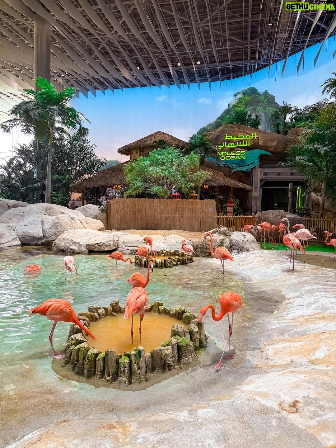 Aleenajijin - 2.4K Likes - Sometimes it’s all about living your life ✨💕
@seaworldyasisland 

📍 seaworld AbuDhabi , Yas Island
Timing - 10Am 6 Pm
Ticket -375 Dhs ( adult)
Child below 3 years - Free

#seaworld #seaworldabudhabi❤️❤️❤️ #yasisland #abudhabi