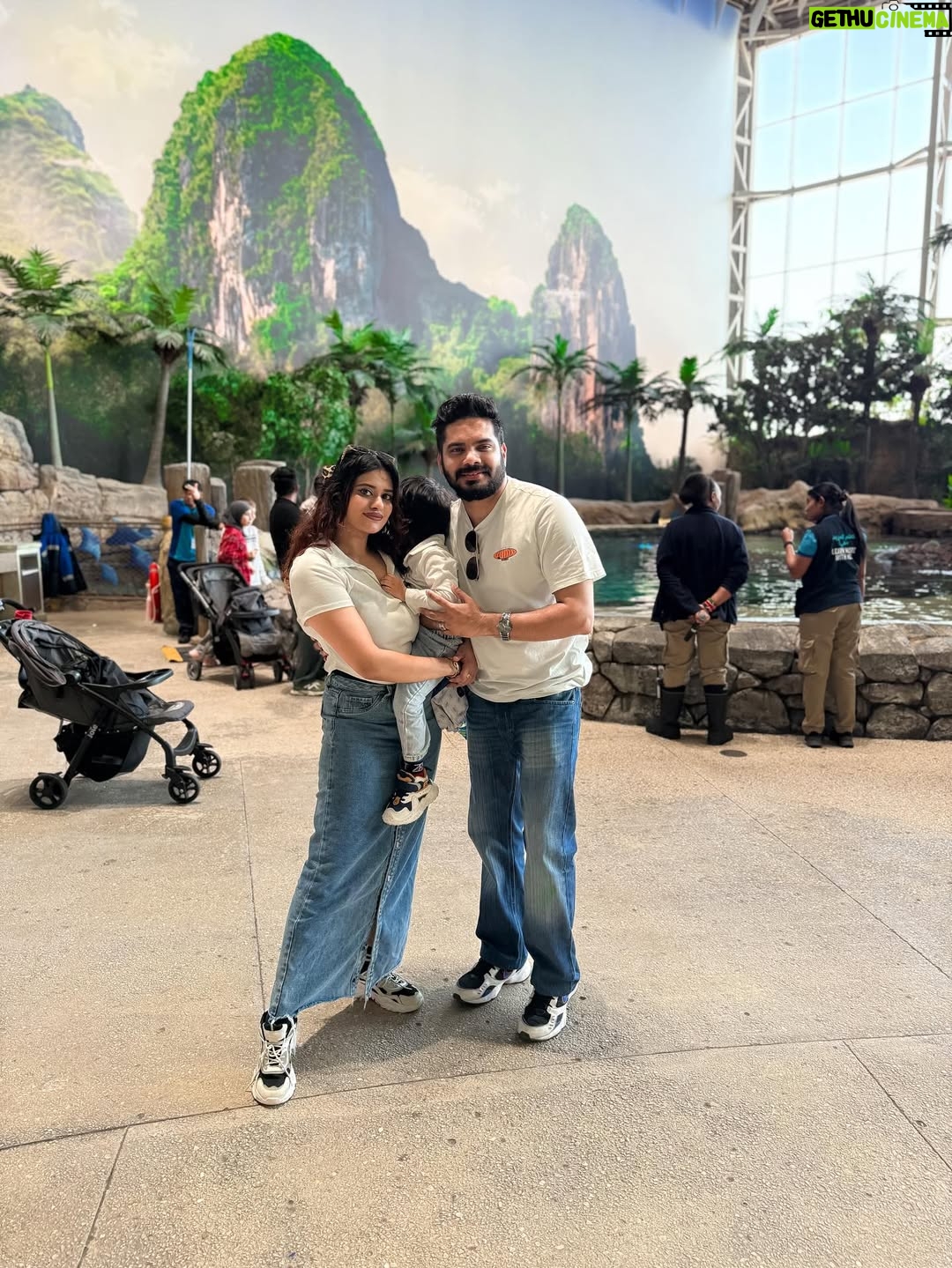 Aleenajijin - 2.4K Likes - Sometimes it’s all about living your life ✨💕
@seaworldyasisland 

📍 seaworld AbuDhabi , Yas Island
Timing - 10Am 6 Pm
Ticket -375 Dhs ( adult)
Child below 3 years - Free

#seaworld #seaworldabudhabi❤️❤️❤️ #yasisland #abudhabi
