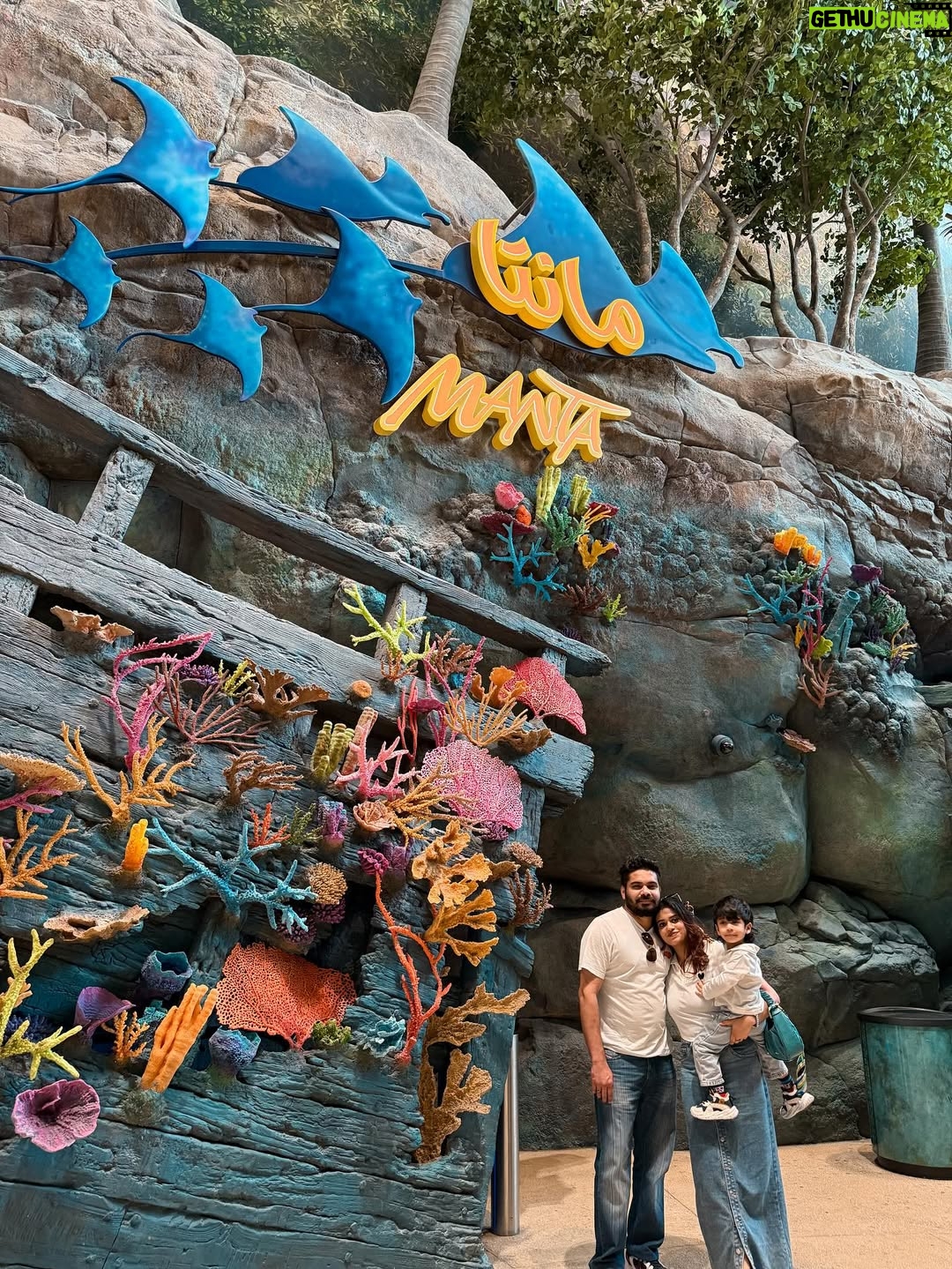 Aleenajijin - 2.4K Likes - Sometimes it’s all about living your life ✨💕
@seaworldyasisland 

📍 seaworld AbuDhabi , Yas Island
Timing - 10Am 6 Pm
Ticket -375 Dhs ( adult)
Child below 3 years - Free

#seaworld #seaworldabudhabi❤️❤️❤️ #yasisland #abudhabi
