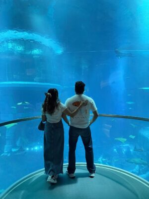 Aleenajijin Instagram - Dance with the waves, move with the sea, let the rhythm of the ocean set your soul free!!!
@seaworldyasisland