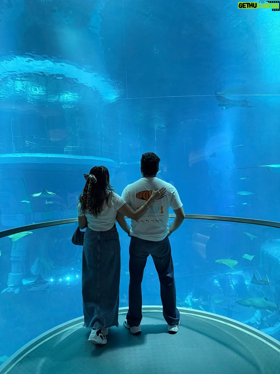 Aleenajijin - 3 Likes - Dance with the waves, move with the sea, let the rhythm of the ocean set your soul free!!!
@seaworldyasisland