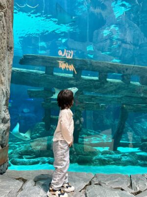Aleenajijin Instagram - Sometimes it’s all about living your life ✨💕
@seaworldyasisland
📍 seaworld AbuDhabi , Yas Island
Timing - 10Am 6 Pm
Ticket -375 Dhs ( adult)
Child below 3 years - Free
#seaworld #seaworldabudhabi❤️❤️❤️ #yasisland #abudhabi