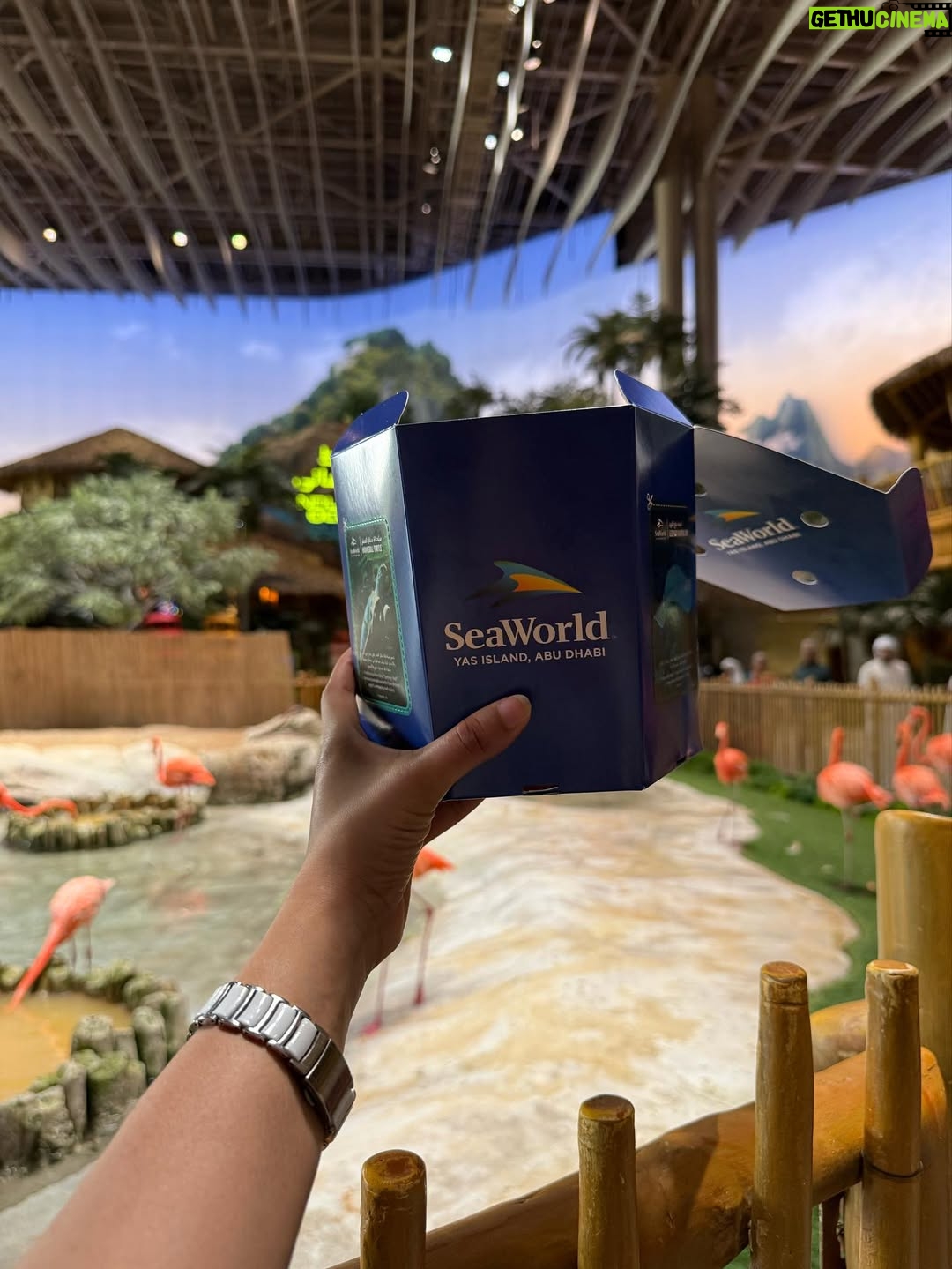 Aleenajijin - 2.4K Likes - Sometimes it’s all about living your life ✨💕
@seaworldyasisland 

📍 seaworld AbuDhabi , Yas Island
Timing - 10Am 6 Pm
Ticket -375 Dhs ( adult)
Child below 3 years - Free

#seaworld #seaworldabudhabi❤️❤️❤️ #yasisland #abudhabi