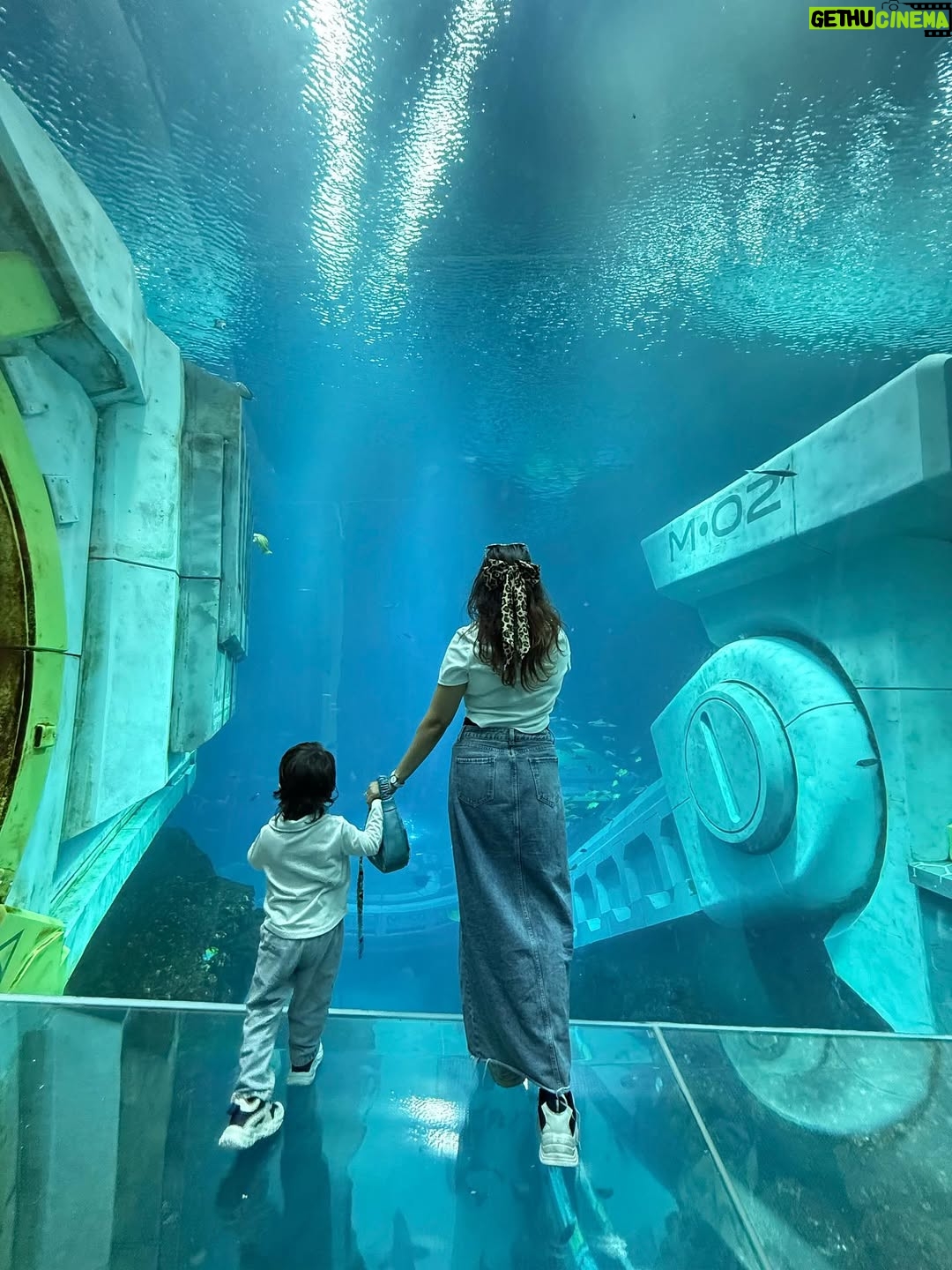 Aleenajijin - 3 Likes - Dance with the waves, move with the sea, let the rhythm of the ocean set your soul free!!!
@seaworldyasisland