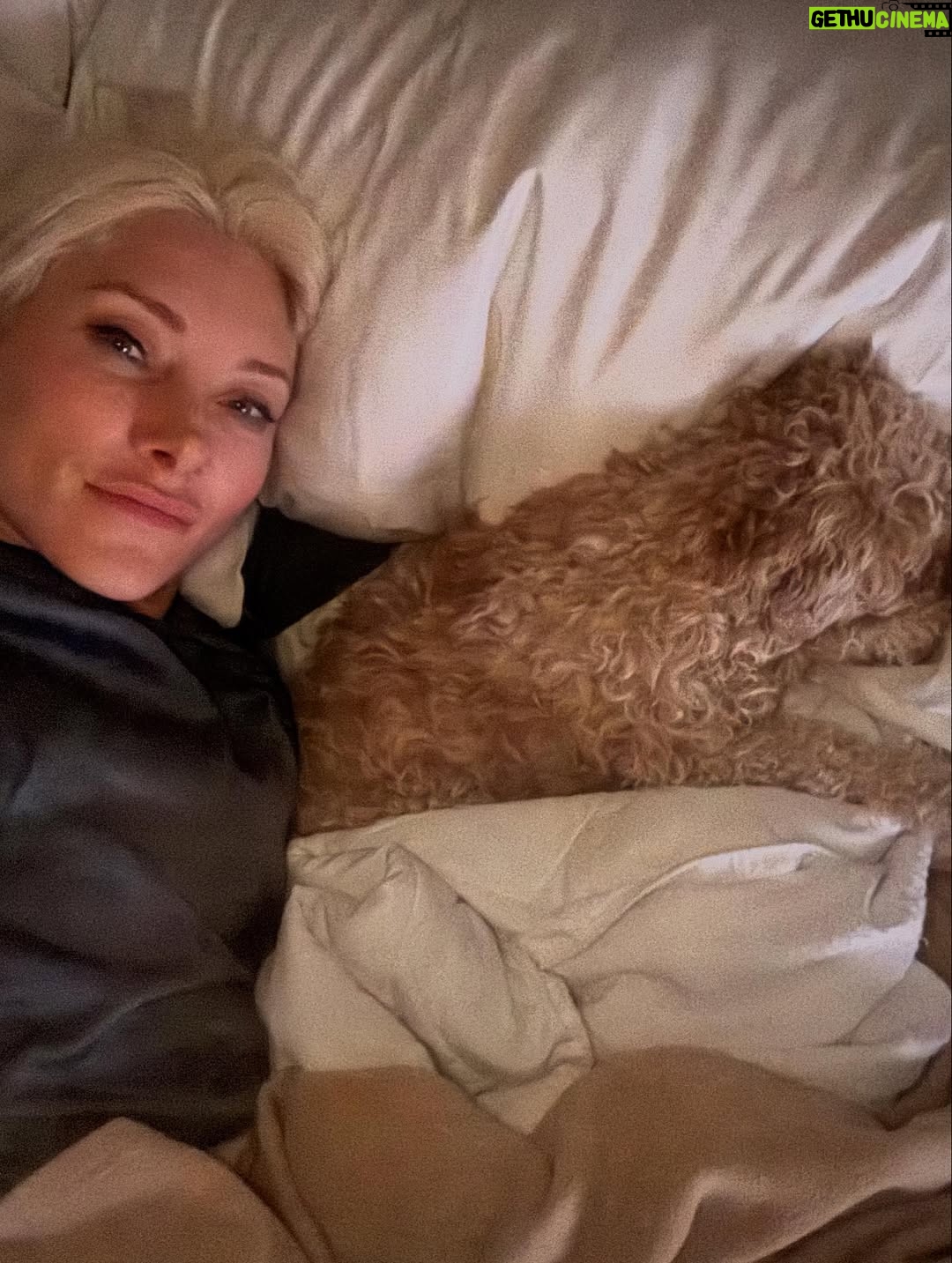 Alexandra Vino - 3.4K Likes - Sweet Angelí getting used to the travel life. She loves meeting everyone. @dftmovie just wrapped!!!! Congrats to everyone!! 🎥💛🏆 @charlottekirkofficial @travismills_filmmaker