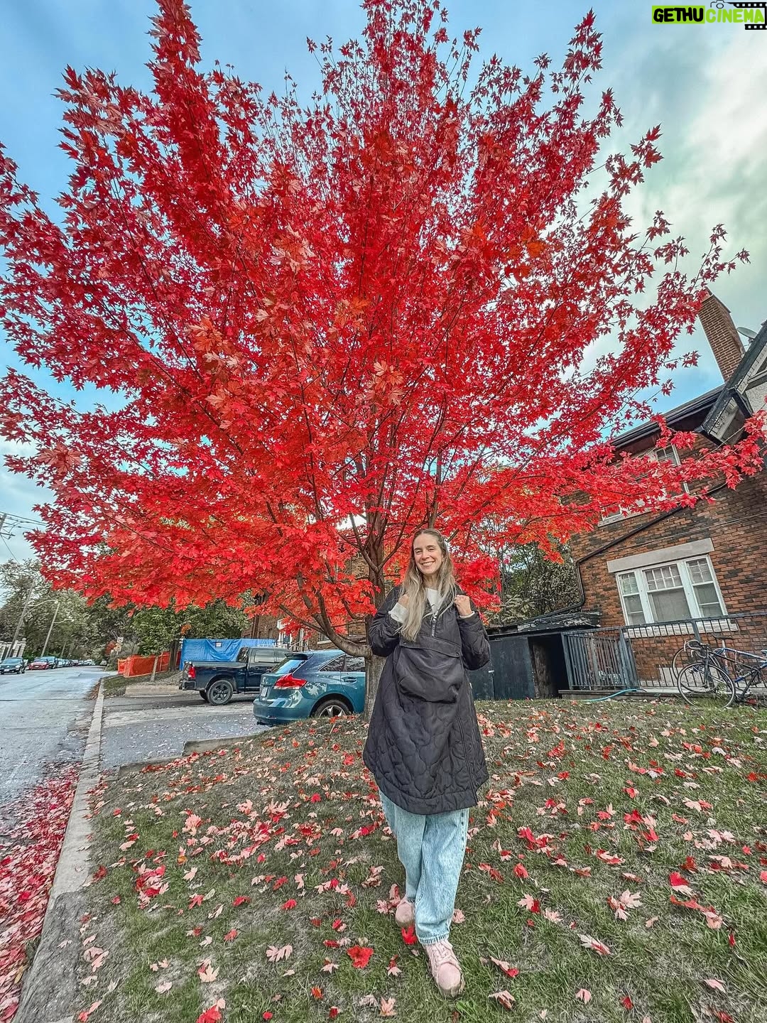 Alison Mandel - 61K Likes - Primer día en Toronto 🍁 
Conociendo a los comediantes y recorriendo la hermosa ciudad.
Quedan unas poquitas entradas para el Domingo 💝 por si anda por estos lados…