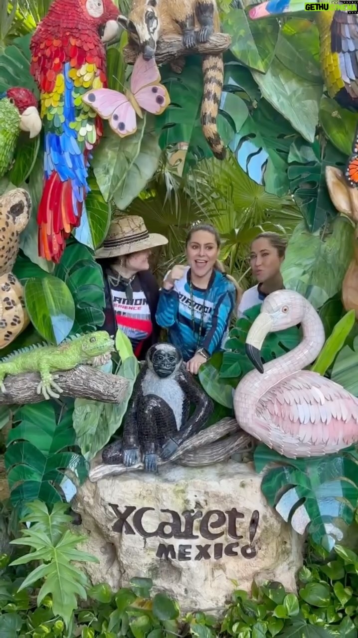 Allisson Lozz - 1.4K Likes - @allissonlozano.11 
🏝️Riviera Maya XCARET- 
Viaje VitalHealth 💚
•Experiencia Diamante 💎 
Muy consentidos los casi 100 Diamantes (Ahorita ya van más de 140 😱)

En esta ocasión nos llevaron a Xcaret! 
Sabías que es el parque temático número #1 en el mundo por cuarto año consecutivo según la revista Forbes?

Es el único que supera a los parques Disney 
Nos la pasamos increíble flotando en la bella playa y en los ríos subterráneos ✨
El Tour incluyó una deliciosa cena de 7 tiempos que iban acorde con el hermoso Show ! 

Te gustaría ser parte y vivir estas experiencias únicas como incentivo por tu esfuerzo ⁉️
•
•
•
Emprende desde casa 🏡 
En 🇲🇽🇺🇸
👇🏻
➕5️⃣2️⃣ 9️⃣9️⃣8️⃣ 3️⃣1️⃣9️⃣ 8️⃣2️⃣4️⃣9️⃣
https://wa.link/ik1qz3
(link en mi perfil)

#teamuniverse #emprendedores #emprendedora #mlm #networking #usa #latinosenusa #emprendedoresonline #mujeremprendedora#emprendedoresmexicanos #mlm #networking #network #networker #mamaemprendedora #mujeremprendedora #vitalhealth #latinosenusa #emprendedoresenusa #allissonlozano #xcaret #rivieramaya #forbes