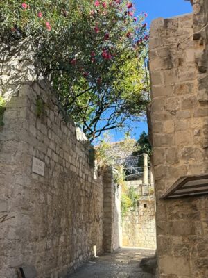 Amanda Lamb Instagram - Right that’s Dubrovnik ticked off.., absolutely mental in there.. never seen so many people in one place. Started the day with a swim in a secret spot behind the city walls and a coffee followed by more swimming and a beach front lunch.. Old Town was just insane… day at sea tomorrow then home for a whole month before I’m off again 😂