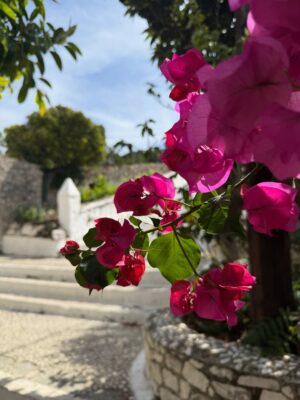 Amanda Lamb Instagram - Finally got to the beach I first saw over 25 years ago and never actually set foot on. Myrtos Beach in Kefalonia for a quick swim, followed by Fiskardo and Assos… now heading back to the @cunardcruiseline to head to Corfu tomorrow…. I love Greece and could happily grow old here…