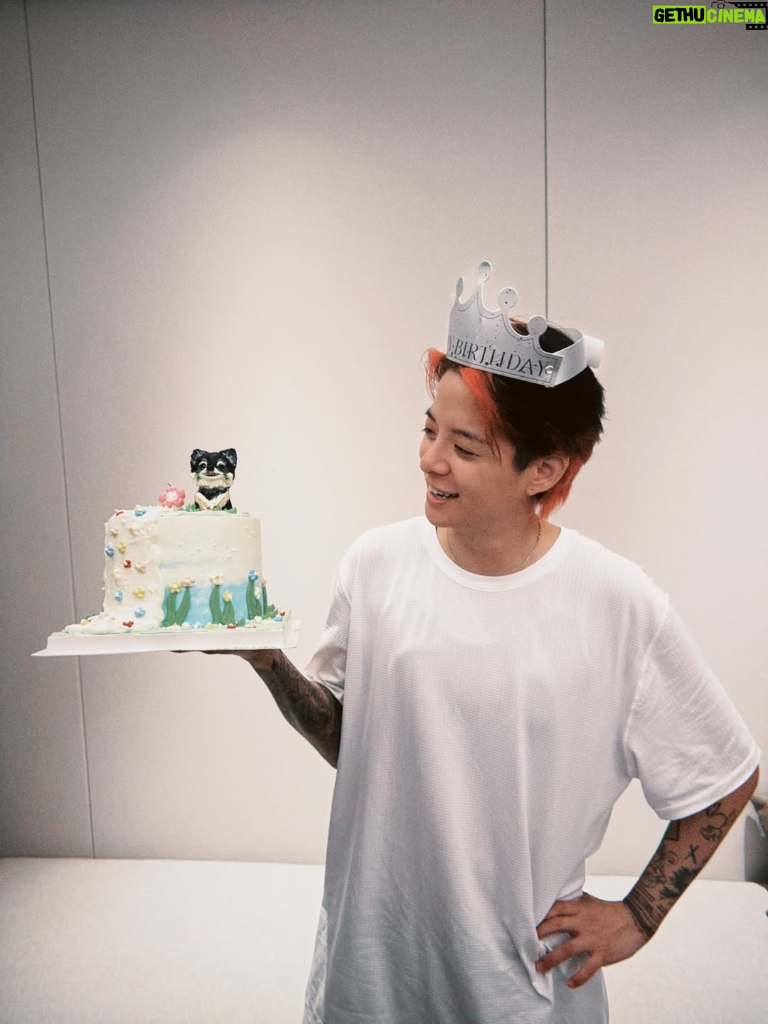 Amber Liu - 60.5K Likes - i guess i can’t escape that I’m 33 now haha I swear the cakes(?) get more creative every year. THANK YOU EVERYONE FOR ALL THE BIRTHDAY WISHES!! So thankful to you all every day for keeping this ol’ llama trotting along. THANK YOU THANK YOU!