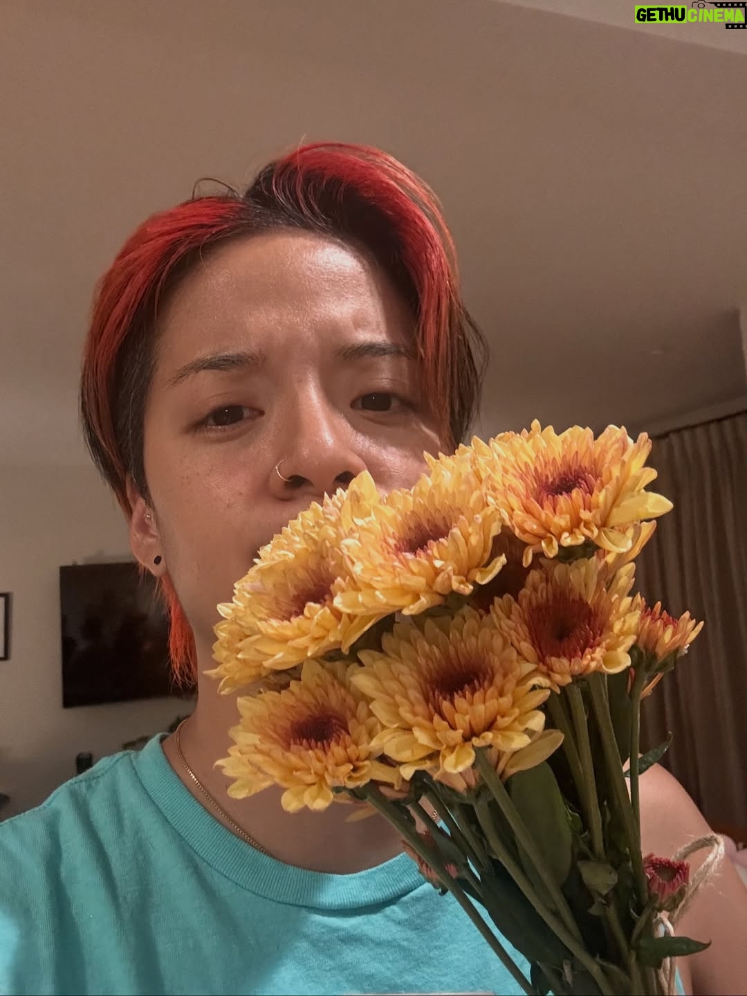 Amber Liu - 60.5K Likes - i guess i can’t escape that I’m 33 now haha I swear the cakes(?) get more creative every year. THANK YOU EVERYONE FOR ALL THE BIRTHDAY WISHES!! So thankful to you all every day for keeping this ol’ llama trotting along. THANK YOU THANK YOU!