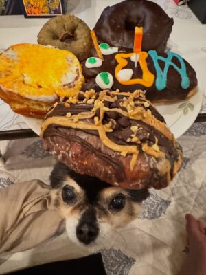 Amber Liu Instagram - i guess i can’t escape that I’m 33 now haha I swear the cakes(?) get more creative every year. THANK YOU EVERYONE FOR ALL THE BIRTHDAY WISHES!! So thankful to you all every day for keeping this ol’ llama trotting along. THANK YOU THANK YOU!