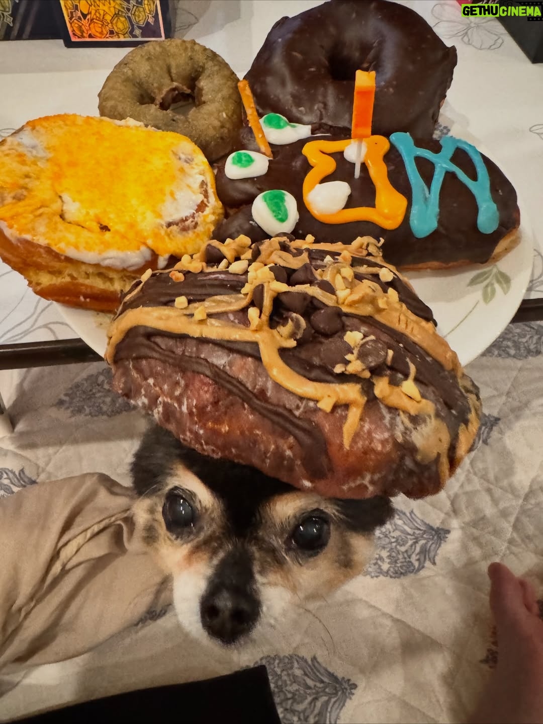 Amber Liu - 60.5K Likes - i guess i can’t escape that I’m 33 now haha I swear the cakes(?) get more creative every year. THANK YOU EVERYONE FOR ALL THE BIRTHDAY WISHES!! So thankful to you all every day for keeping this ol’ llama trotting along. THANK YOU THANK YOU!