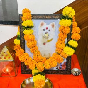 Amisha Sharma Instagram - Maybe in the another universe we’ll meet again 🐾
There are no goodbyes for us !
13 years of love & Laughter 💗