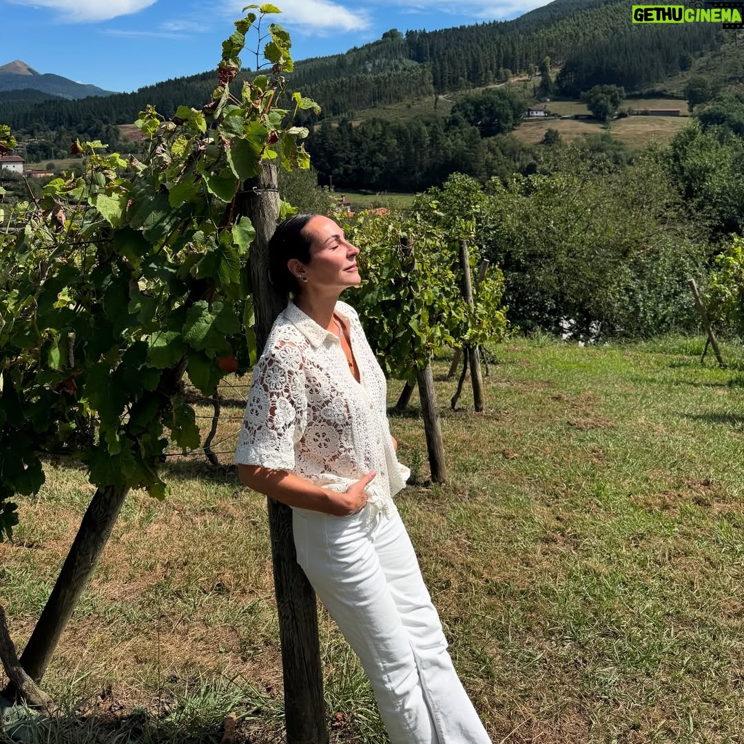 Ana Milán - 28.9K Likes - ✨✨✨✨✨✨✨✨✨✨✨✨✨✨✨
•Pasear con Bart(olo) y que él me enseñe el bosque.
•Brindar con Susana por la vida y la suerte.
•Recoger brócolis 🥦 mientras bebemos champán 🍾 con Scott y Carlos
•Gallinas 🐓 y gatitos 🐱 
•Escuchar el viento y cómo se acerca la lluvia 🌧️ 
•Mi comandante 🤍
•Tomar el sol en los viñedos. Falcón Crest style. 
•Que te duela la tripa de reír. Ese lujo…

Donosti, cuanto más te conozco más te quiero…