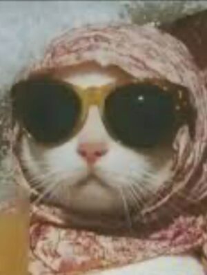Anahí de Cardenas Instagram - Inspo for today kitty-glam ❤️ @falabella_pe
Extrañando a bebito, pero trabajando para el. Felizmente tengo un esposo que no solamente se ocupa de estar con mi gordo, trabajar, apagar incendios (se reventó la terma hoy). Gracias mi amor por mantener el fuerte bajo control. Te amo @emaya89
Las mujeres no solo podemos ser una cosa, podemos ser varias. Somos individuos con la dicha de poder dar vida. No por eso se remite nuestro rol a solo ser madres. Dejemos los estigmas, los tiempos han cambiado, los roles también. Puedes decidir ser quien tú quieras ser, y si te hace feliz, pues ahí es. Siento culpa, si. Pero si no trabajo, no subsistimos. Pero por sobre todas las cosas, trabajar me hace feliz. Mi hijo crecerá sabiendo que su mamá se fajó por el, para que pueda tener las mejores oportunidades y eso no me da ni culpa ni vergüenza, me llena de orgullo.
#womanpower #mujerfuerte #mujer #workingmom #mamatrabajadora #falabellafashionlive