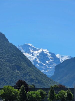 Anaswara Rajan Instagram - The only red flag I never want to get over🇨🇭
#interlaken #baselswitzerland