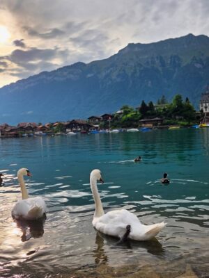 Anaswara Rajan Instagram - The only red flag I never want to get over🇨🇭
#interlaken #baselswitzerland