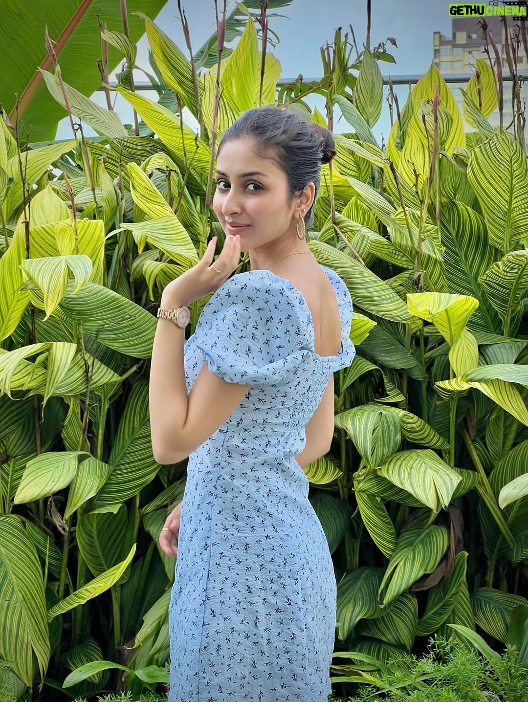 Anchal Sahu - 117.6K Likes - Whispers of wind!🤍🌿