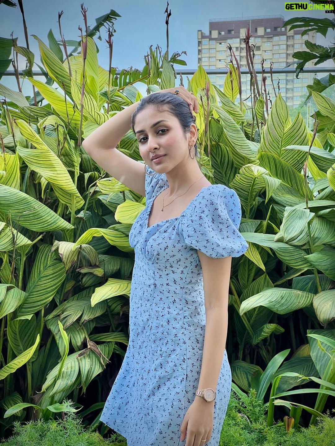 Anchal Sahu - 117.6K Likes - Whispers of wind!🤍🌿