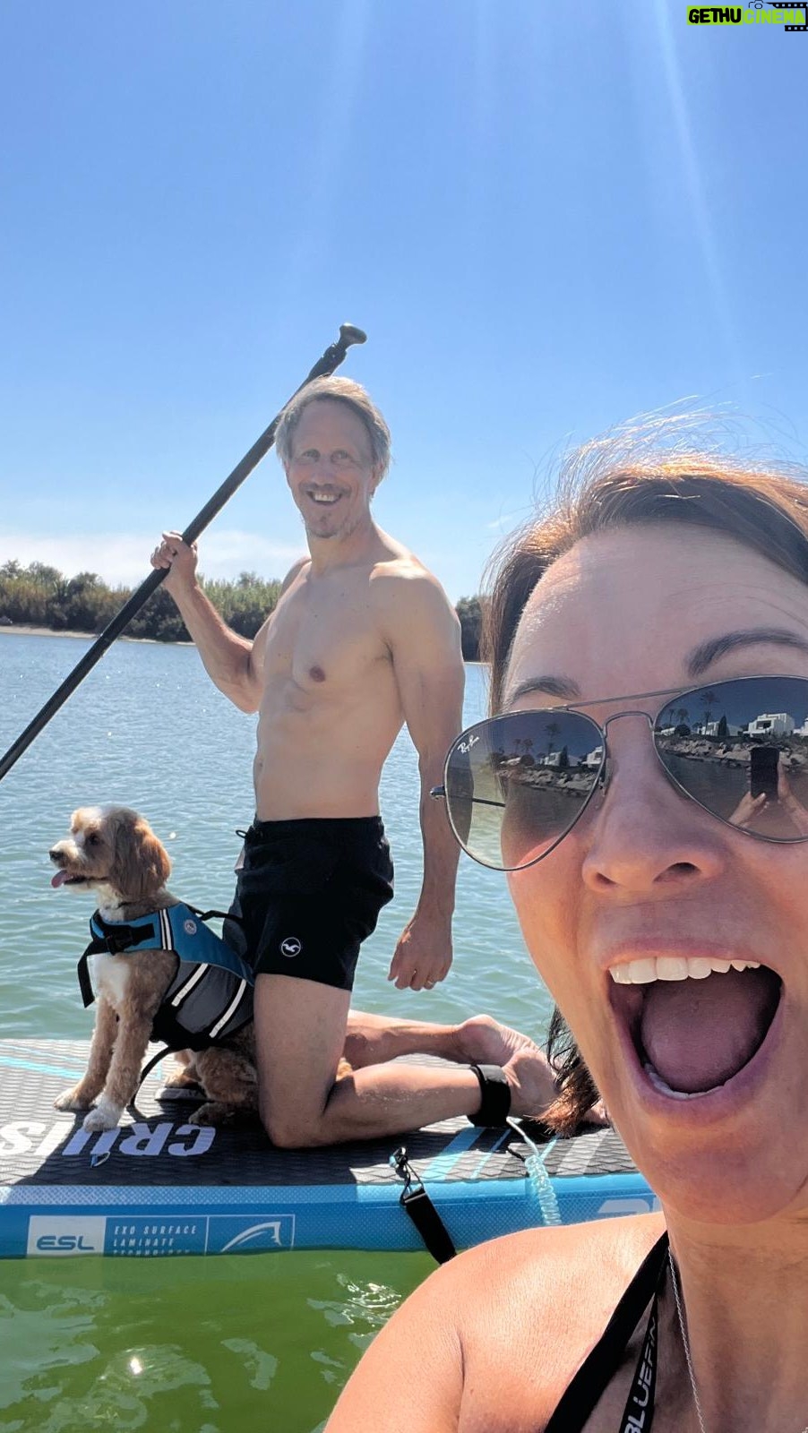 Andrea McLean - 3.6K Likes - Today was a BIG DAY for @teddymcfeen - first time on a paddle board! We were worried it would be like having a toddler, and all our daydreams about what it was going to be like would end up with tears and tantrums, or whatever the doggy equivalent is, and we’d have to go home. But he just jumped on and sat down, calm as you like. He loved it! We spent about an hour going up and down the river and he just chilled. He’s a tired boy now. 🐶

#whatagoodboy #freshstart #funinthesun