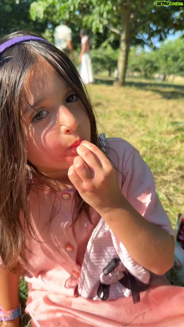 Angel Elena - 366 Likes - No need to caption 🧿😘
Little cherry 🍒 

#cherry#reelinstagram❤️ #reebok #trendingsongs #reelkrofeelkro❤️ #reelsofinstagram #reels🇬🇧🏍️ #reelscanada #reebokclassic #reelexplore #reelsviralシ #trendingsongs