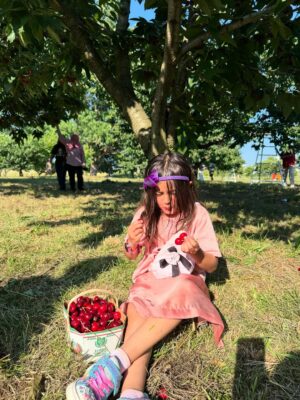 Angel Elena Instagram - My little cherry 🍒 😘enjoying summer in Canada😍
#mylifeincanda#reelinstagram❤️ #newpost#cherry#cherryfarm#canada#summer#enjoylife #cutie #beautifulday