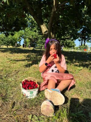 Angel Elena Instagram - My little cherry 🍒 😘enjoying summer in Canada😍
#mylifeincanda#reelinstagram❤️ #newpost#cherry#cherryfarm#canada#summer#enjoylife #cutie #beautifulday