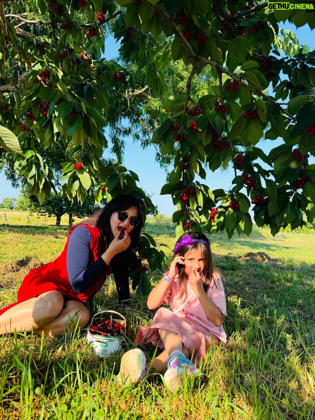 Angel Elena - 445 Likes - My little cherry 🍒 😘enjoying summer in Canada😍

#mylifeincanda#reelinstagram❤️ #newpost#cherry#cherryfarm#canada#summer#enjoylife #cutie #beautifulday