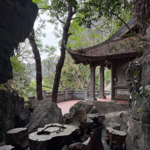 Angelina Danilova Instagram - Xin chào, Vietnam 🇻🇳🌿