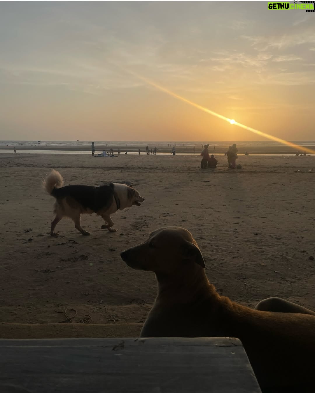Anindita Bose - 5.7K Likes - Daydreaming in Goa! 🐡🌊🩵
.
.
.
.
#minivacay #beachbumsforlife🌴☀️